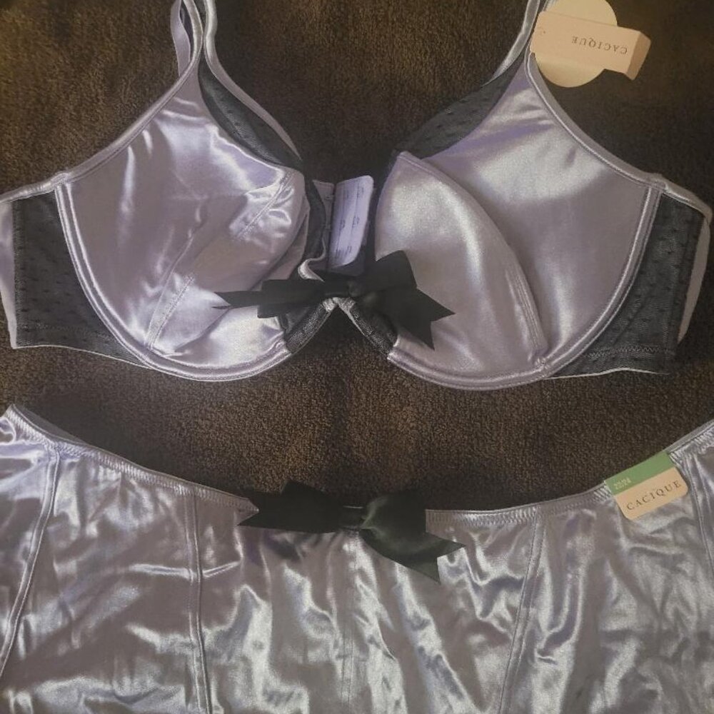Plus Size Lilac Bra and Underskirt Set